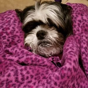 Meet your Posher, Deanna